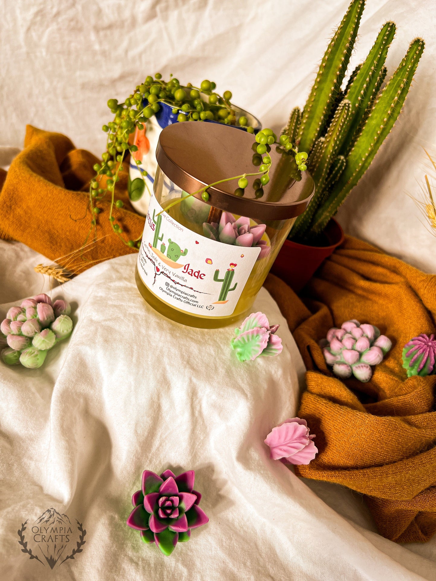 Cactus Jade | Love Collection 🌵