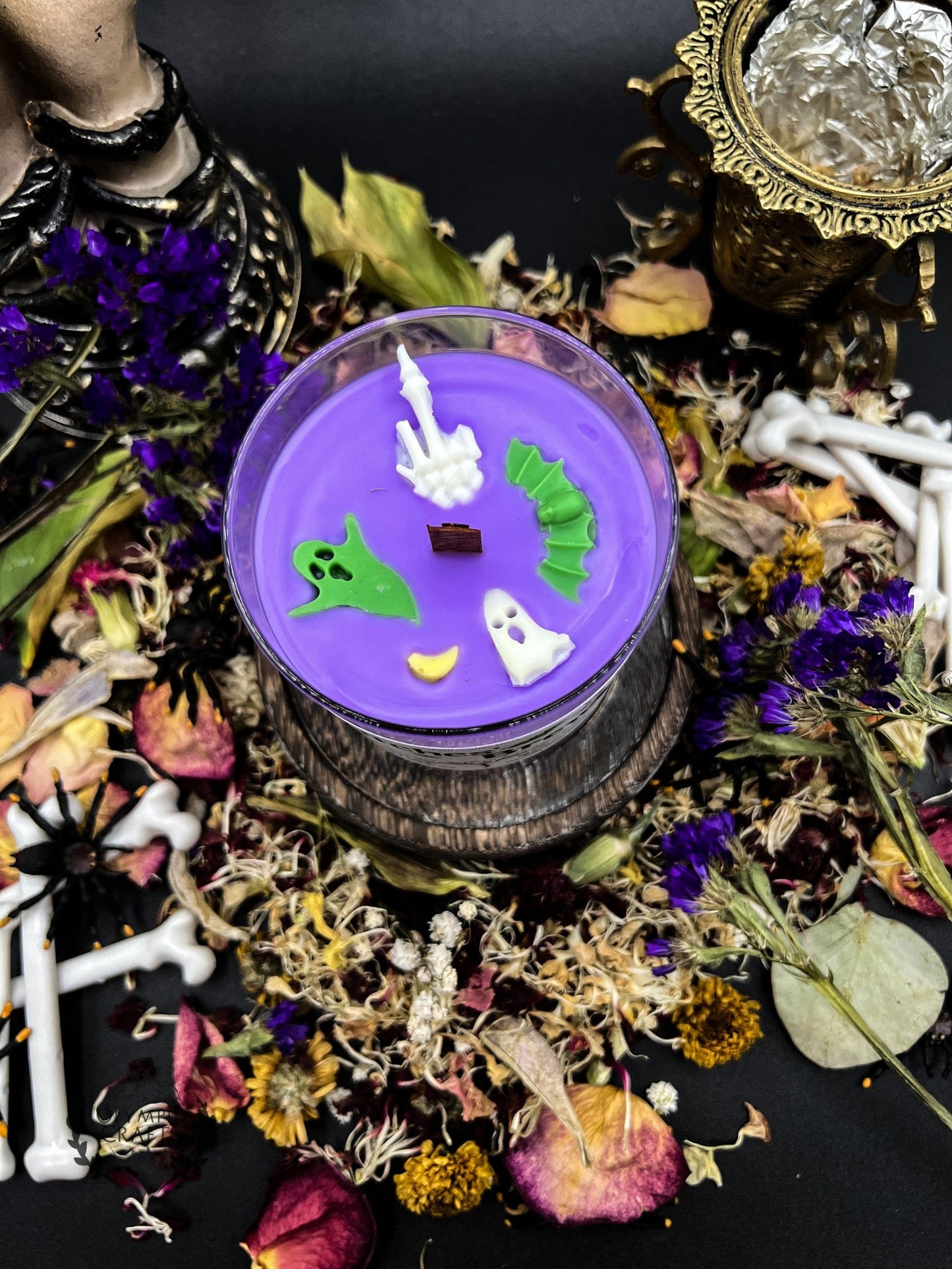 Witches' Brew | Fall Collection 👻